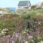 Peggy's Cove, NE